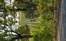 Billeder fra gæster i Le Gallozzole