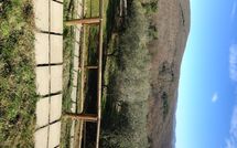 Billeder fra gæster i Villa Saverio