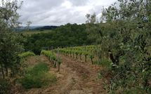 Billeder fra gæster i Massi