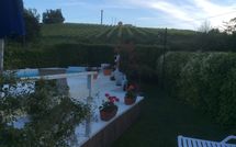 Billeder fra gæster i Il Fienile