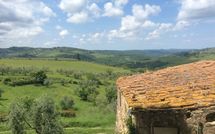 Billeder fra gæster i La Chiantigiana