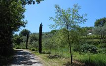 Billeder fra gæster i Podere San Bono