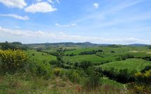 Billeder fra gæster i Podere San Bono