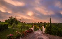 Billeder fra gæster i Podere Romina Exclusive