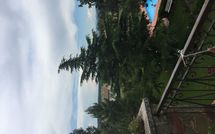 Billeder fra gæster i Maesta dei Mori