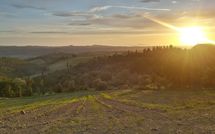 Billeder fra gæster i Casa Anna