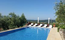 Billeder fra gæster i La Palma