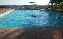 Billeder fra gæster i Vittoriana