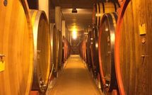 Billeder fra gæster i Villa Gaville