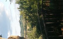 Billeder fra gæster i Il Salceto