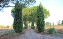 Billeder fra gæster i Villa Ponticelli