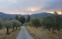 Billeder fra gæster i Il Castagneto