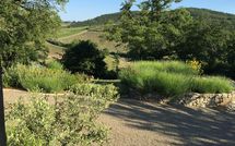 Billeder fra gæster i Villa Vertine