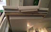 Billeder fra gæster i Rimaggio