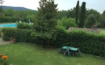 Billeder fra gæster i Pozzonovo