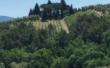 Billeder fra gæster i Villa Fabbiolle All'Impruneta