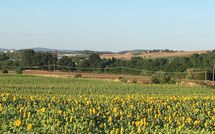 Billeder fra gæster i Villa San Fabiano