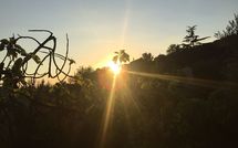 Billeder fra gæster i Vinci 820