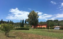 Billeder fra gæster i Al Valentino