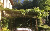 Billeder fra gæster i Molino Santa Lucia