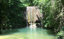 Billeder fra gæster i Molino Santa Lucia
