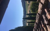 Billeder fra gæster i Tenuta Il Tresto