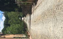 Billeder fra gæster i Tenuta Il Tresto