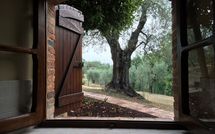 Billeder fra gæster i Il Meleto