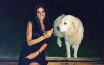 Billeder fra gæster i Villa Ardene