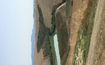 Billeder fra gæster i Agriturismo Il Gattero