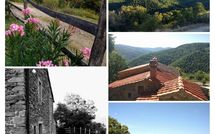 Billeder fra gæster i Tribbiano