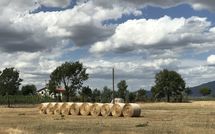 Billeder fra gæster i Case Sant'Anna