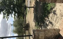 Billeder fra gæster i Pieve di Sant Ippolito