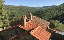 Billeder fra gæster i Tribbiano