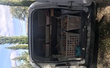 Billeder fra gæster i Villa Il Prato