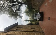 Billeder fra gæster i Villa Il Prato