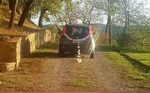 Billeder fra gæster i Villa Il Prato