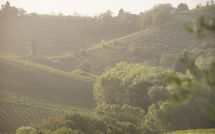 Billeder fra gæster i Agriturismo Paterno