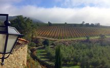 Billeder fra gæster i Villa Nova