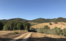 Billeder fra gæster i Santa Barbera