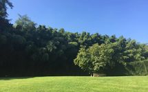 Billeder fra gæster i Alisso