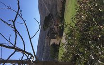 Billeder fra gæster i Villa della Valle