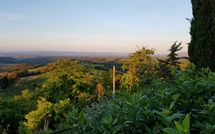 Billeder fra gæster i Giovanna Vacanze