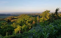 Billeder fra gæster i Giovanna Vacanze