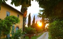 Billeder fra gæster i Tenuta Il Tresto