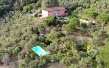 Billeder fra gæster i Villa Igea 13