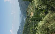 Billeder fra gæster i Casa Fiora