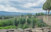 Billeder fra gæster i Villa Agazzi