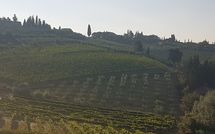 Billeder fra gæster i Casa Rossa