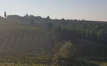 Billeder fra gæster i Casa Rossa